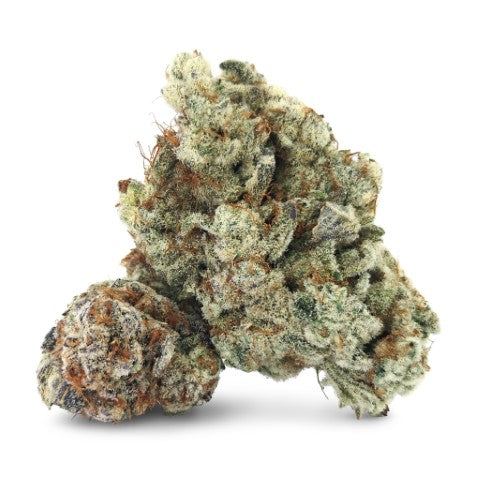 French Fire Barb