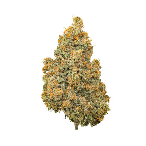 Bc Organic Lucy In The Sky