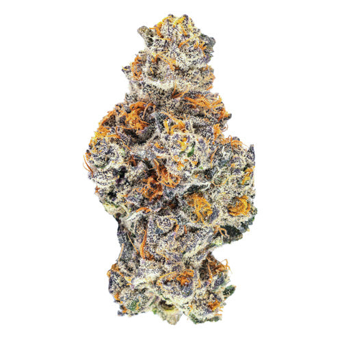 Exclusives - Pink Kitty