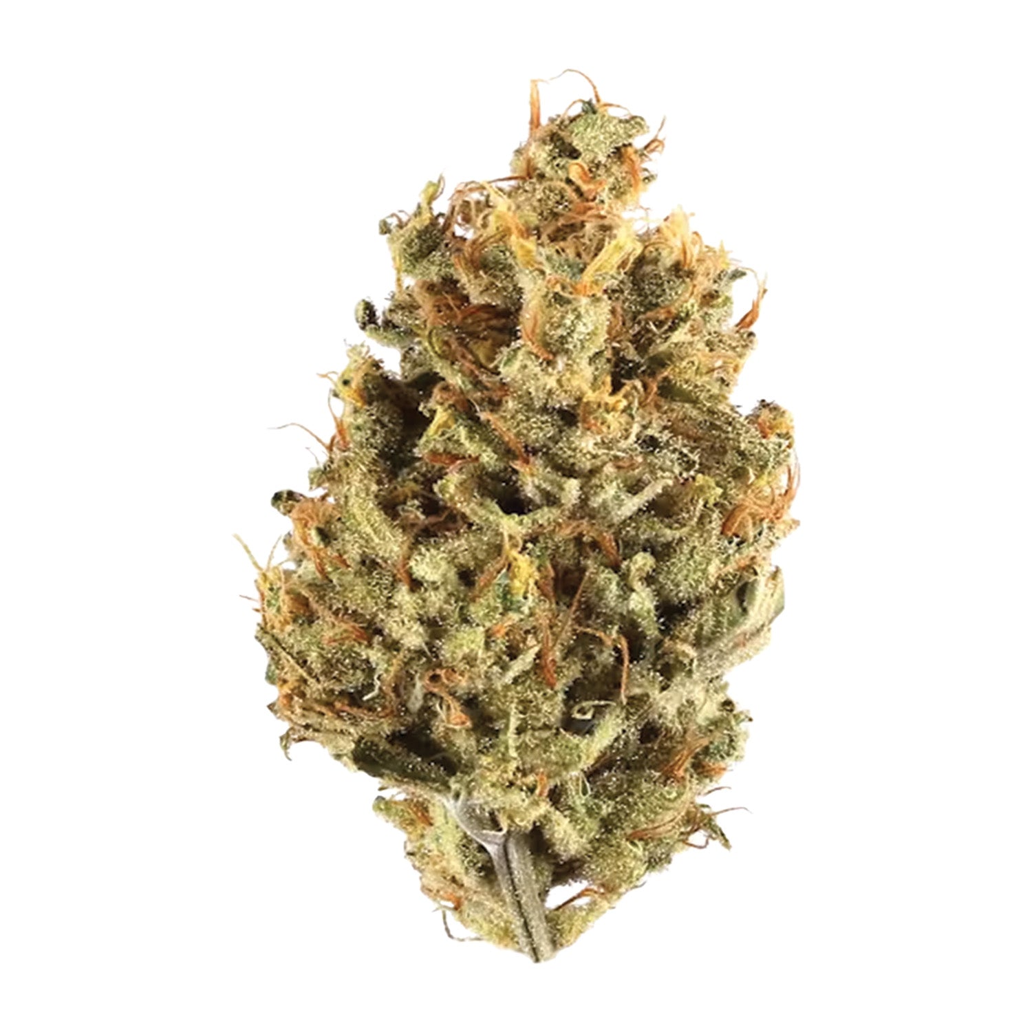Cranberry Cough