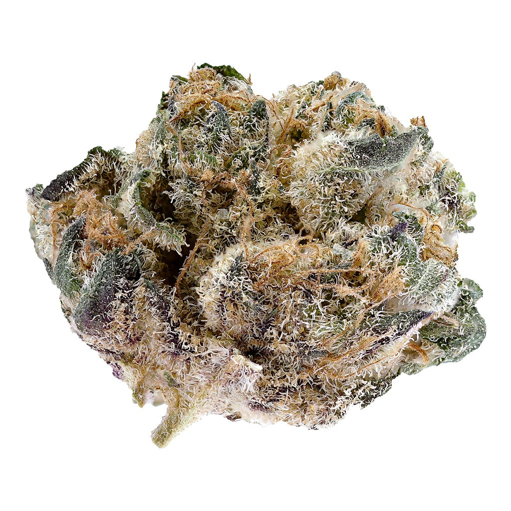 Blackberry Gelato