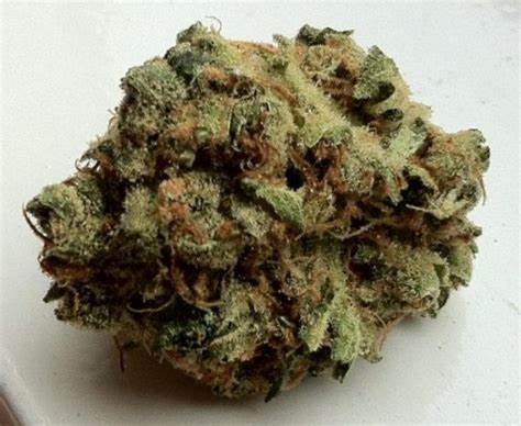 Victoria Cannabis Co-Mango Mac 2