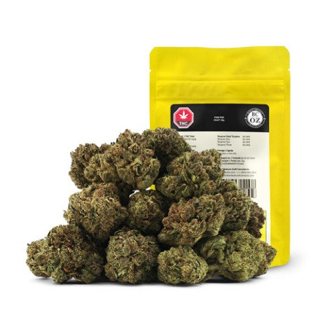 Pink Fire Craft Lto 2