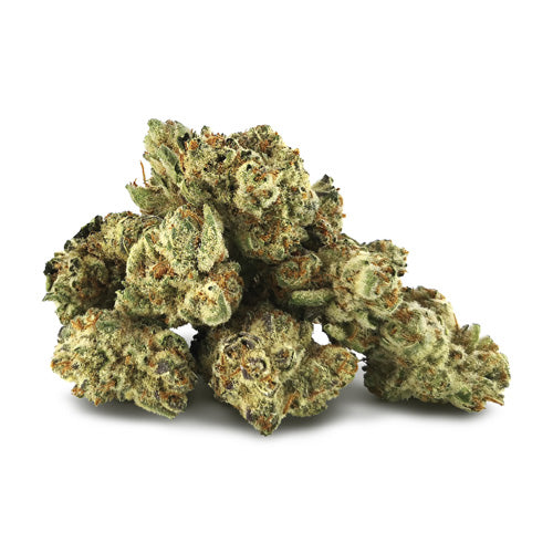 Zlushiez Smalls 2