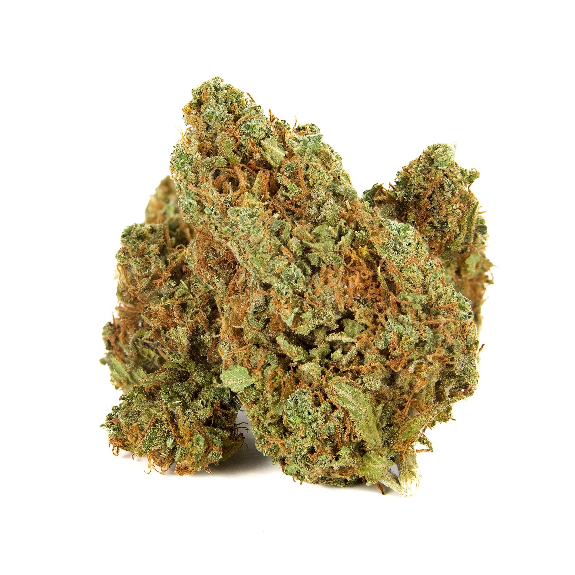Bc Organic Creek Congo