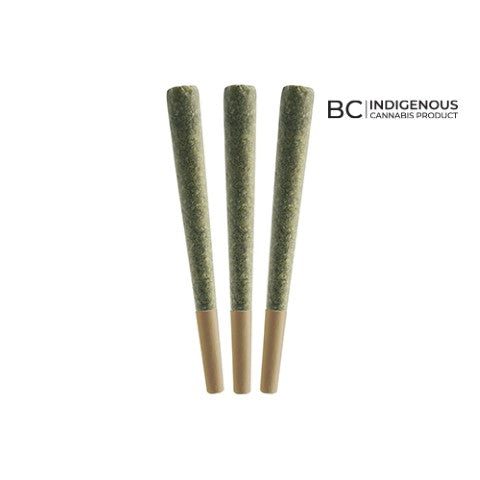 Gush Mintz Pre-Rolls