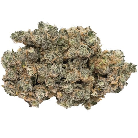 Cannabis - White Widow 2