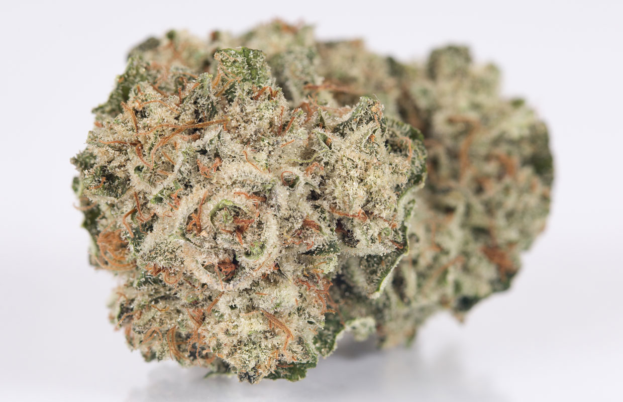 Gg#4