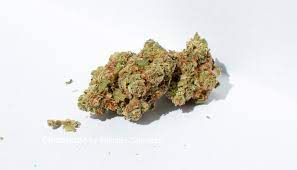 Organic Chocolope