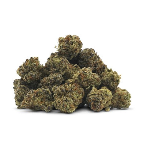 Purple Oasis Smalls
