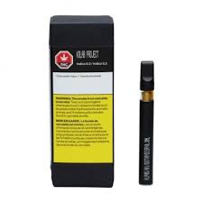 Indica 0.3 Disposable Pen