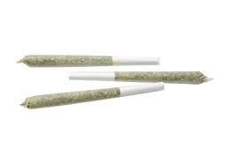 White Rhino Pre-Roll