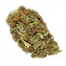 No. 501 Shooting Star Pre-Roll