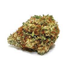 Sensi Star Pre-Roll