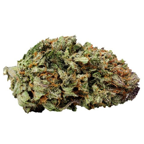 Texada Timewarp X Apricot Kush Lto