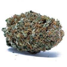 Bc Belladonna