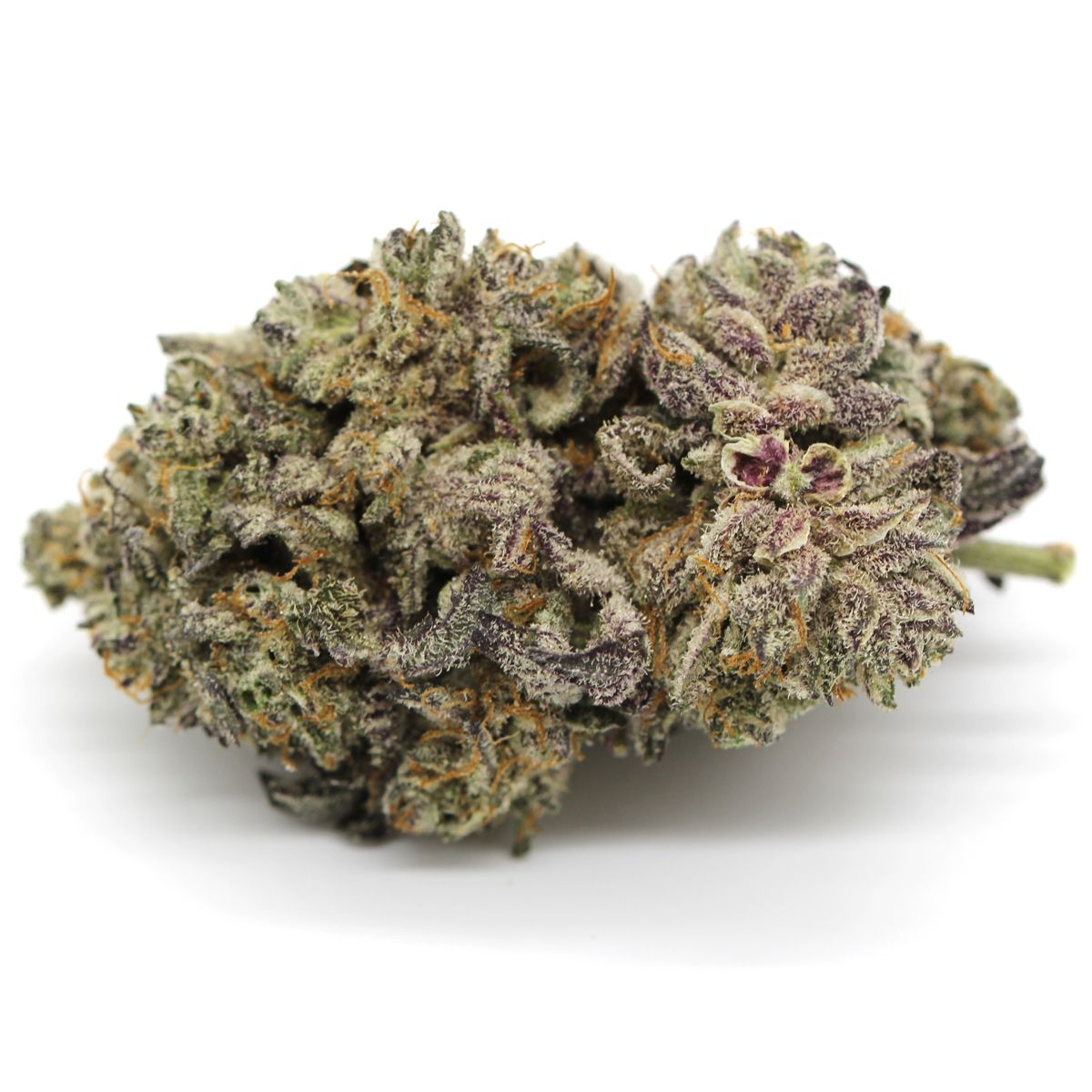 Thin Mint Gsc Craft 28G Lto