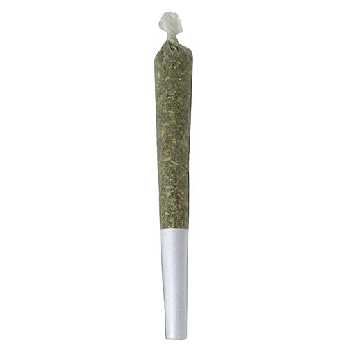 Jerry Can Pre-Roll