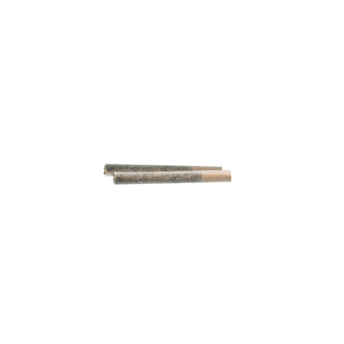 Romulan Timewarp Pre-Rolls Lto