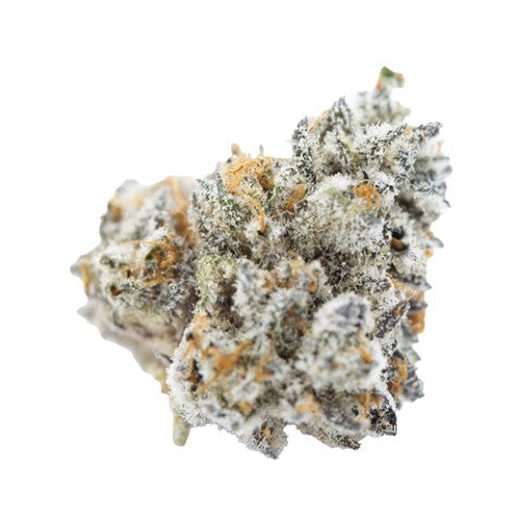 pure Michigan 7g