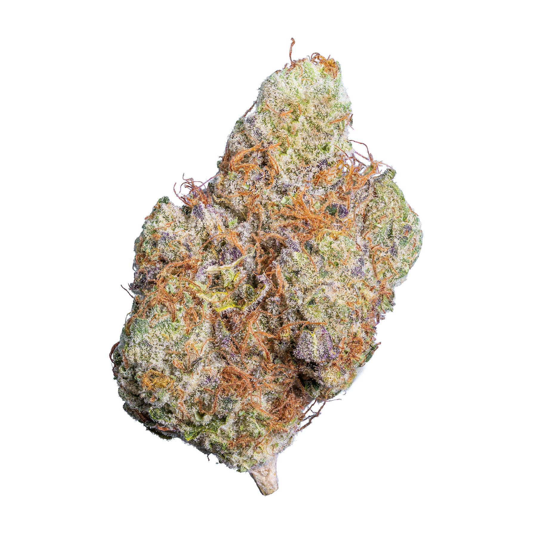 Organicraft-