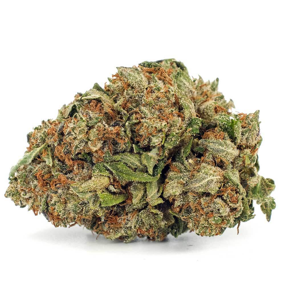 Bc Kush