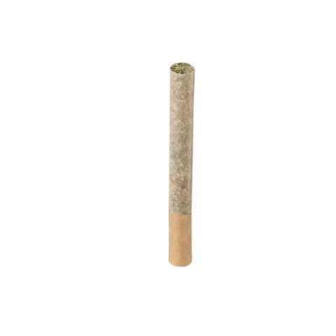 Organic (Lso) Maple Blizzard Pre-Rolls