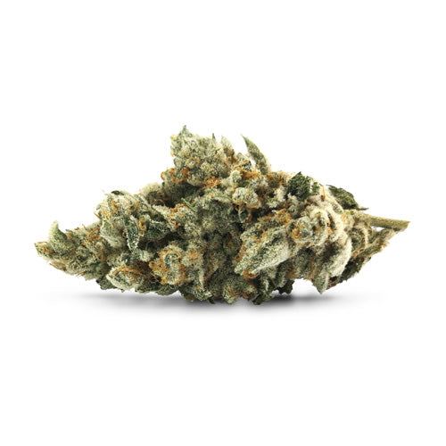 Pistol & Paris- lemon Tini  3.5g