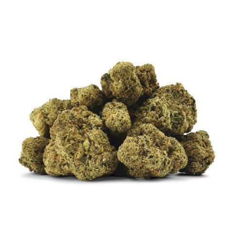 Citrus City Og