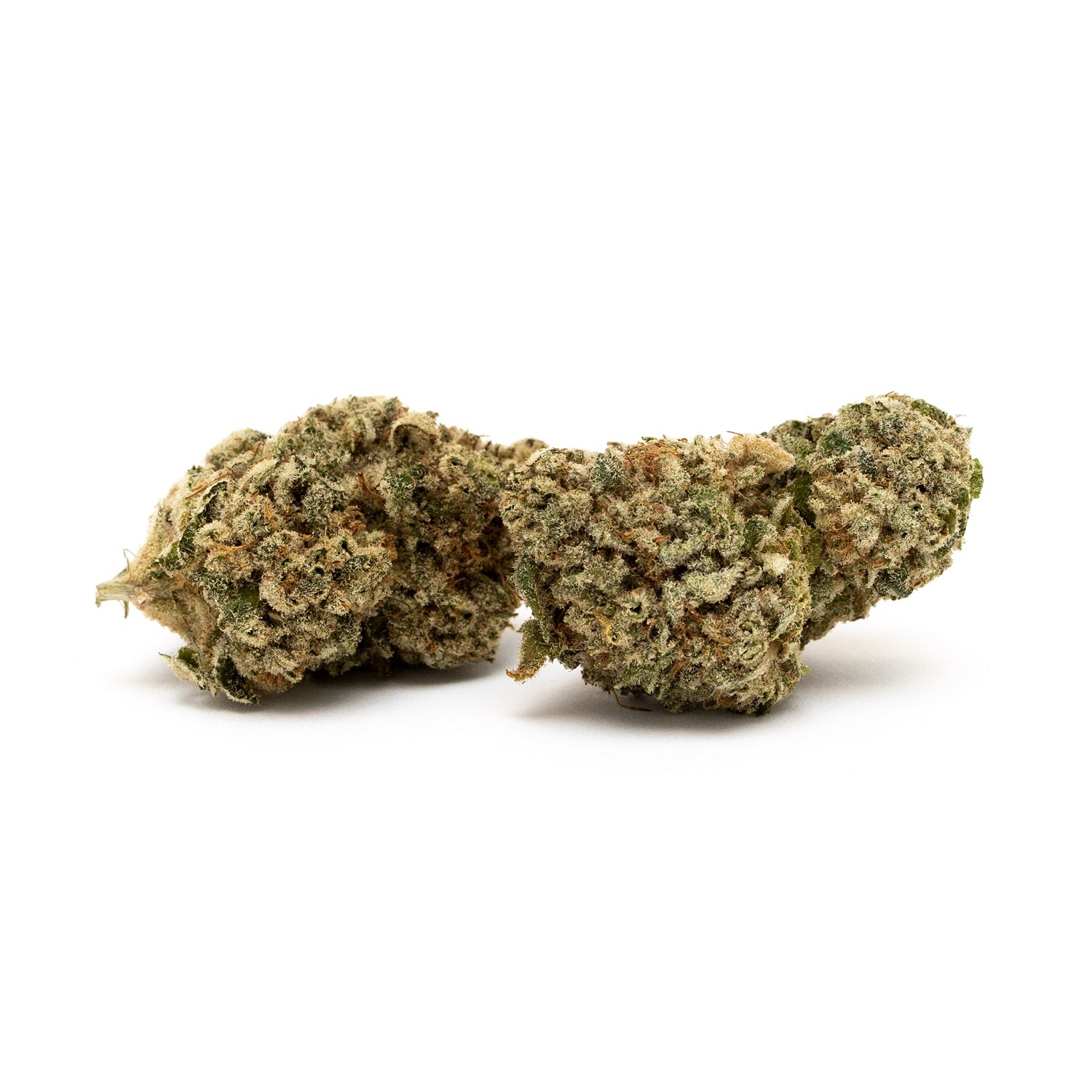 Sitka micro- dragon fruit mintz 7g