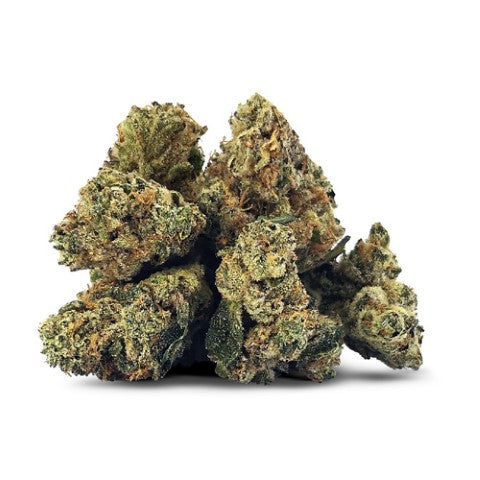 Galactica Og Smalls 2