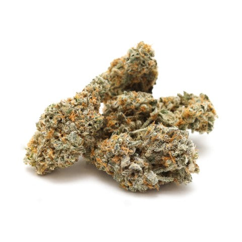 La Bomba 2