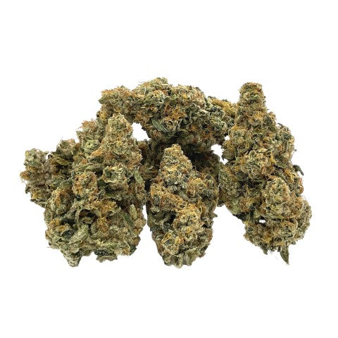 Trailblazer Rootbeer #8 Sativa 2