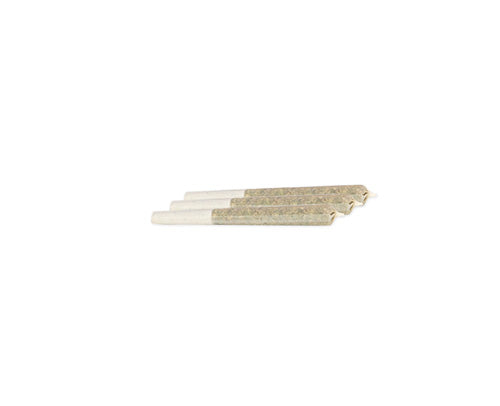 Glue 31 Pre-Rolls