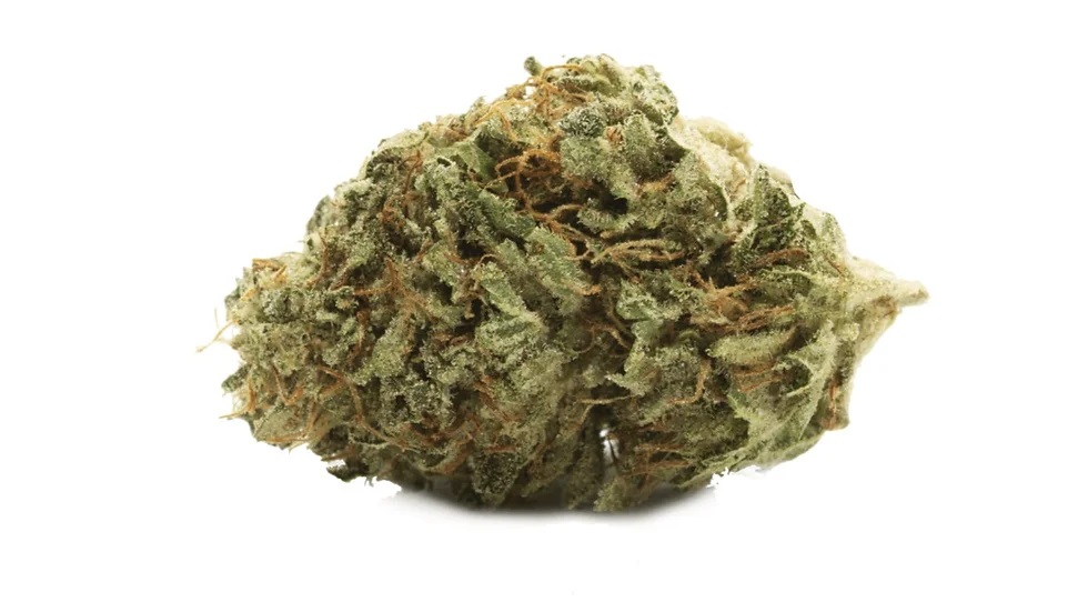 GoodBuds-BC Organic Glurangutan Live Rosin