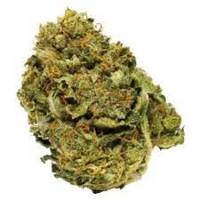 Biomed Indica