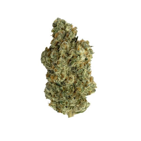 Frosted Gelato 2