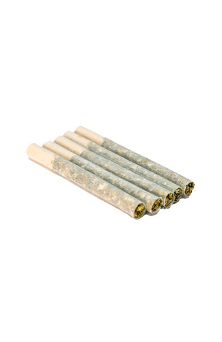Day Tripper Pre-Rolls