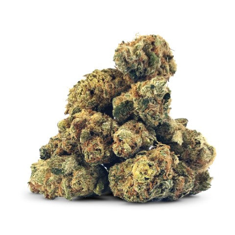 Bc oz- snow diesel 3.5