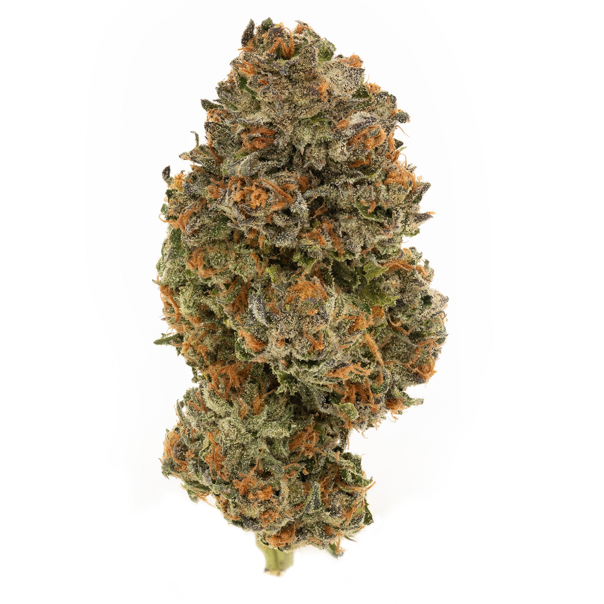 BC Organic Jokerz