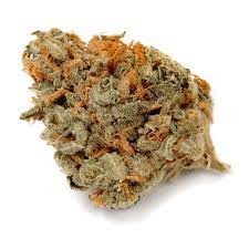 No. 504 Hanna Haze