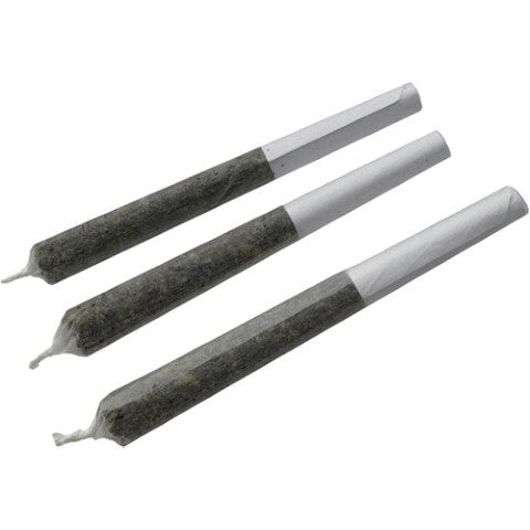 High Thc Banger Infused Pre-Rolls 2