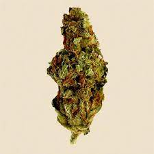 Jack Herer