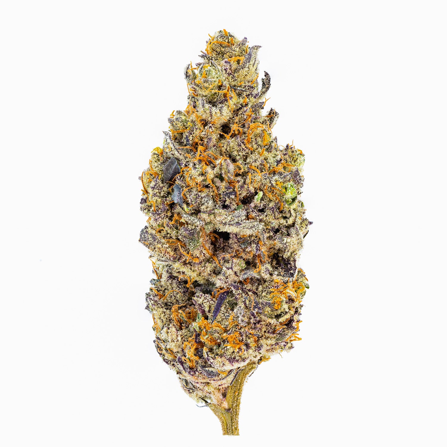 Sweetgrass Organic- Mandarin Cookies