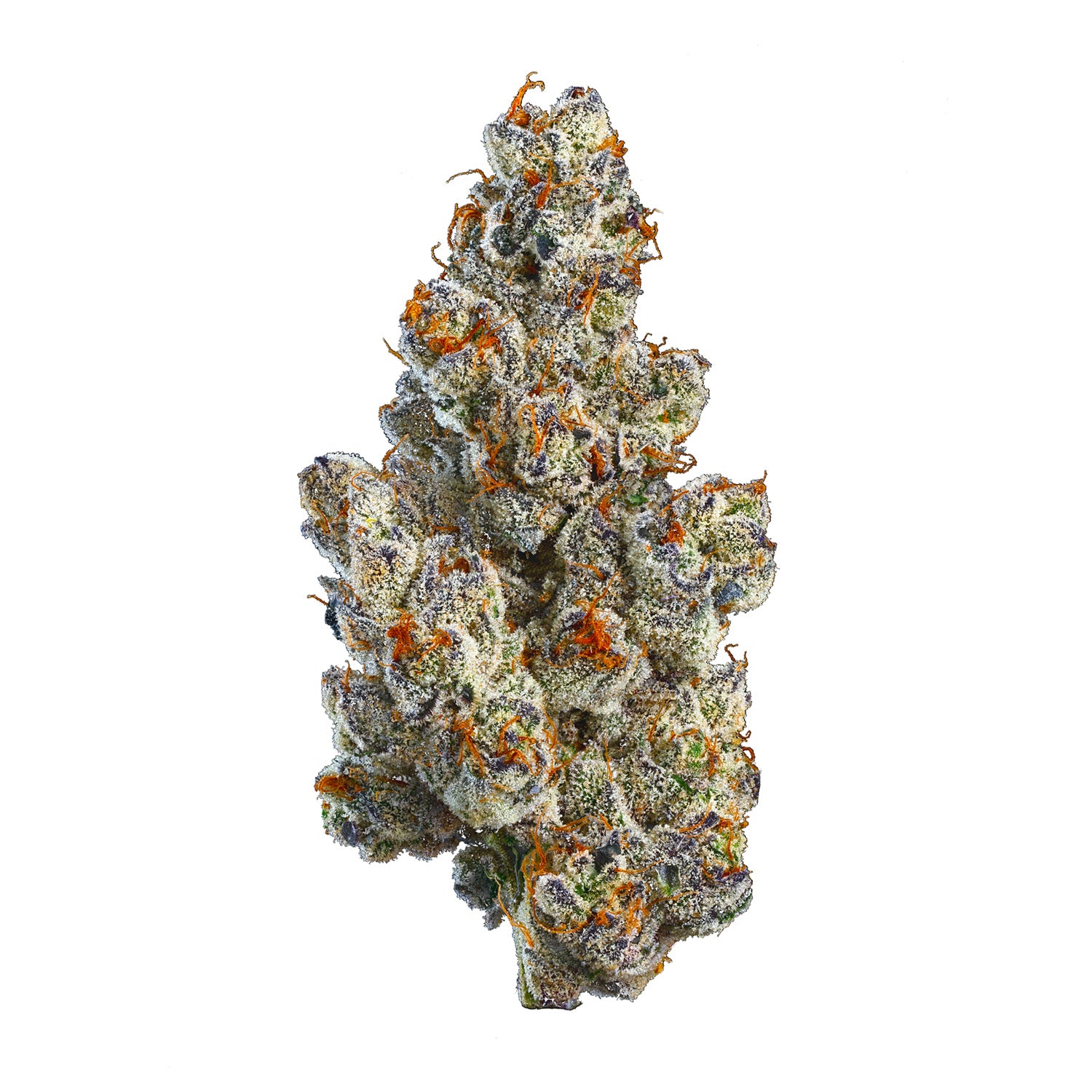 Bc Organic Bling Blaow 2