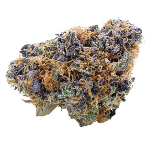 Alaskan Thunder Lto