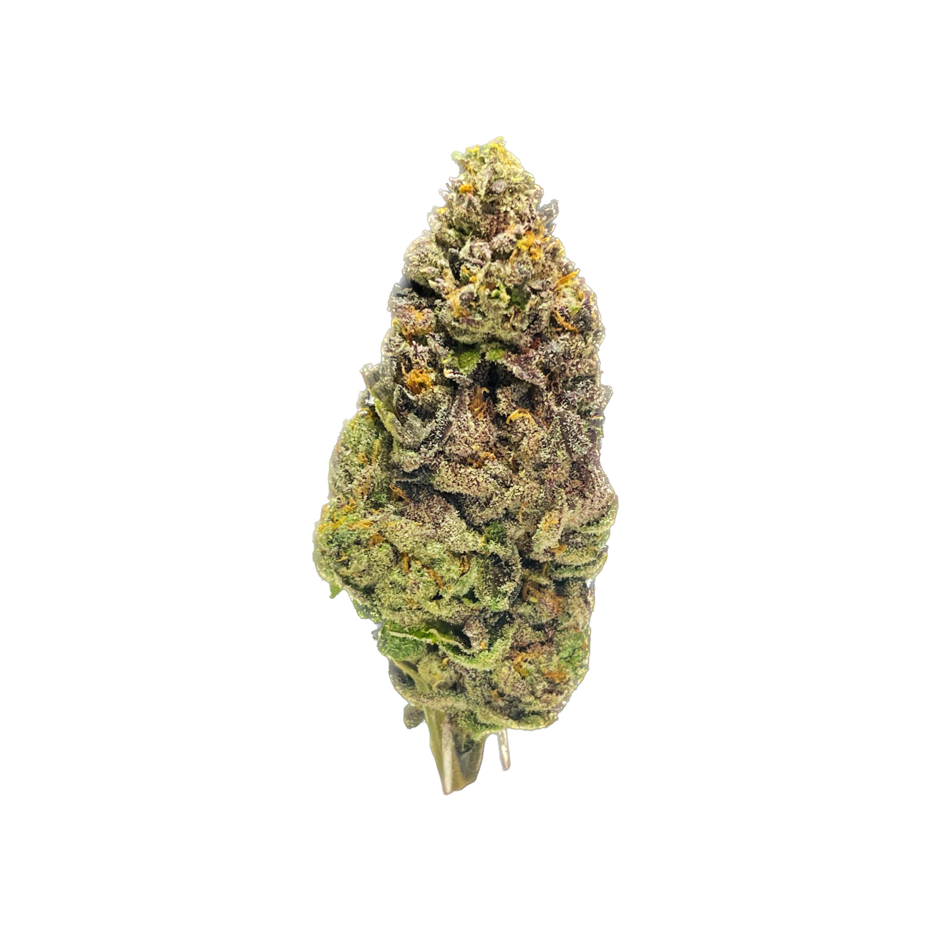 Orange Creamsicle