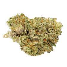 Hindu Kush