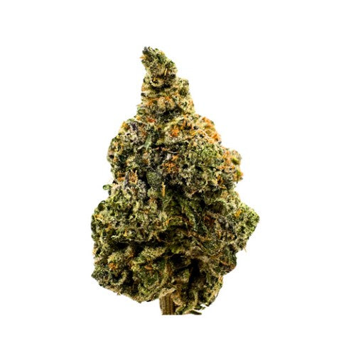 West Coast Og Lto 2