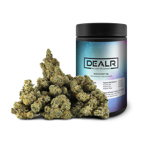 Dealr-Alien Ice Craft 2